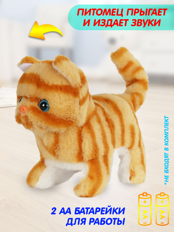 0C-00115090 orange-00004