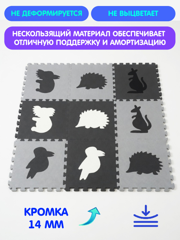 ОC-00119003 (5)