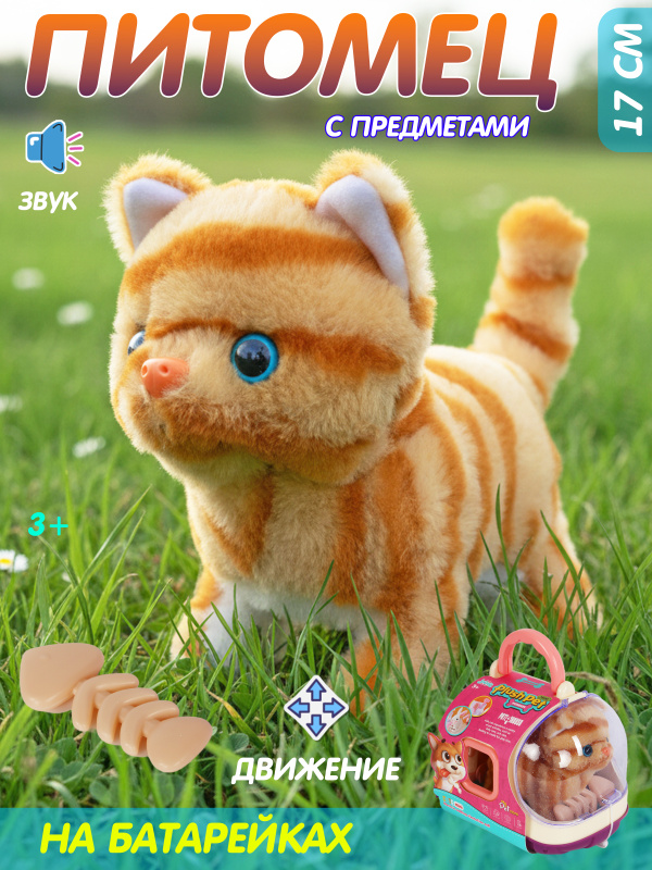 0C-00115090 orange-00001